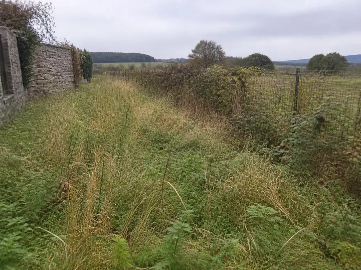 Fond de jardin envahi de ronces, avant travaux