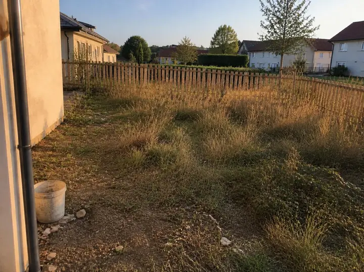 Terrain en friche, herbes hautes, avant travaux
